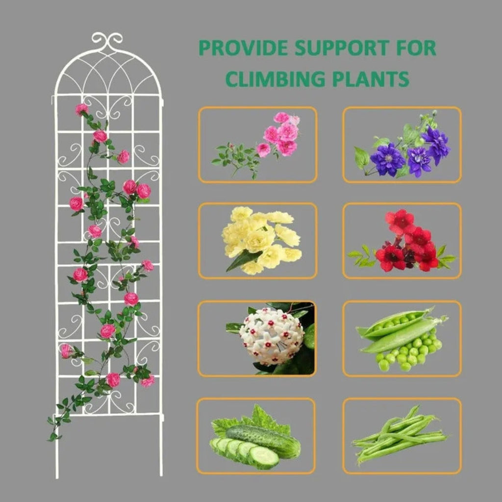4 Pack Metal Garden Trellis for Climbing Plants - Image 6