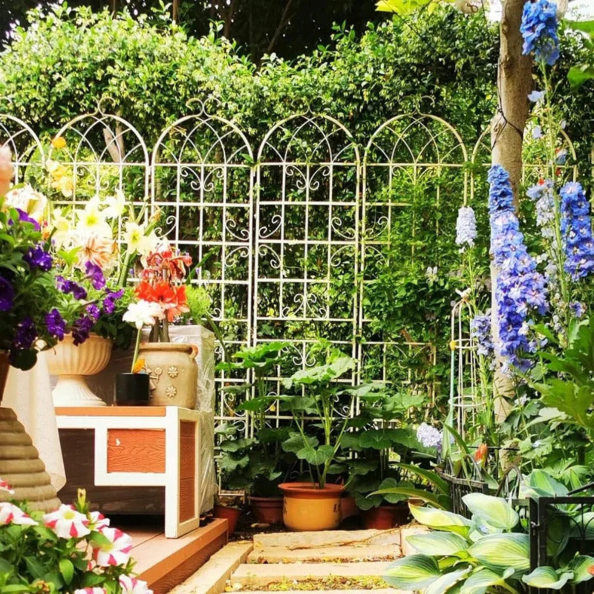 4 Pack Metal Garden Trellis for Climbing Plants - Image 5