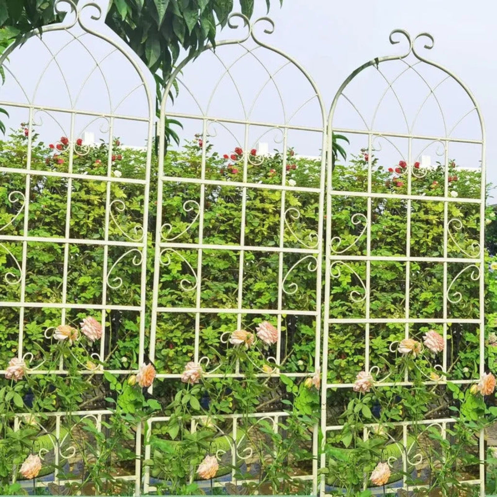 4 Pack Metal Garden Trellis for Climbing Plants - Image 4