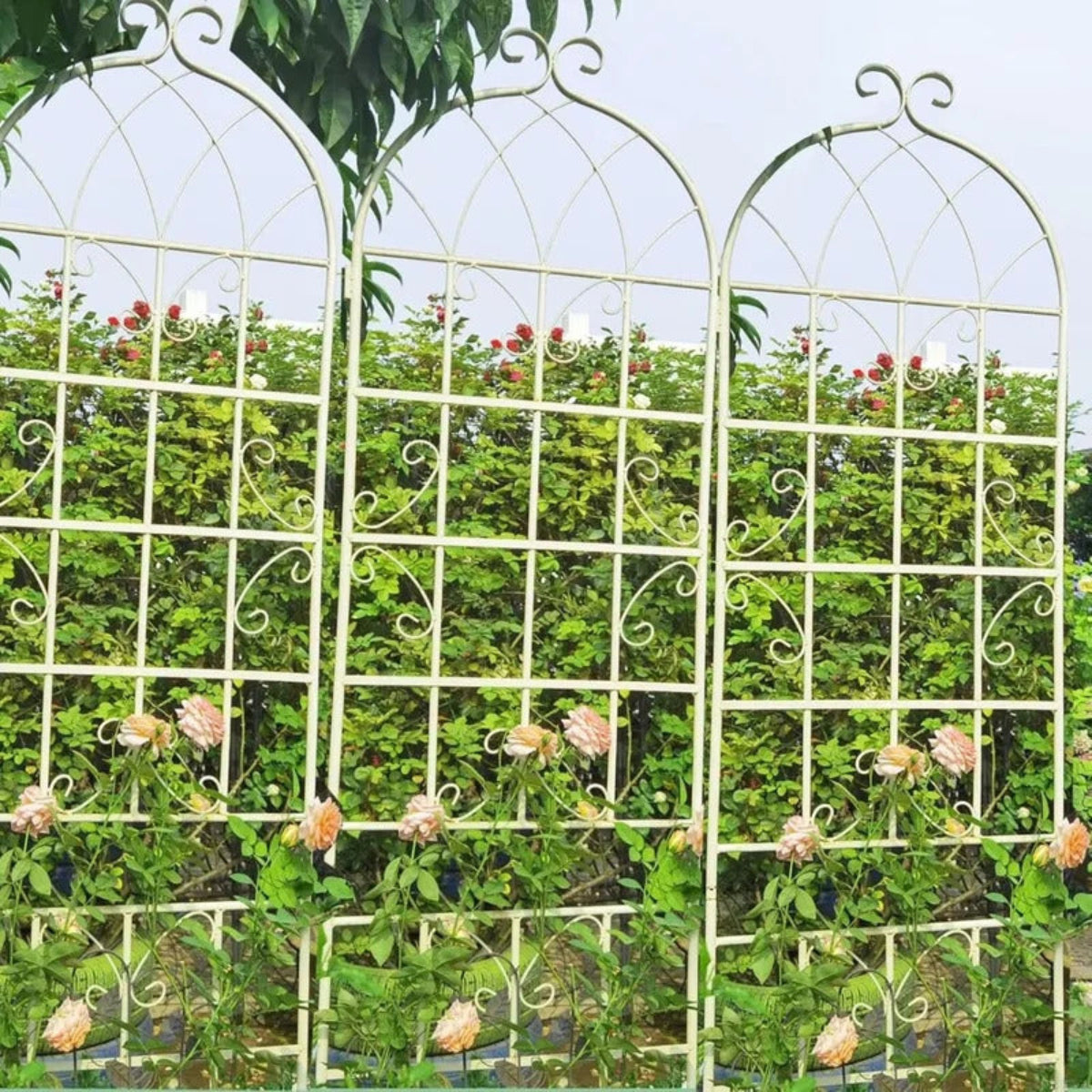 4 Pack Metal Garden Trellis for Climbing Plants - Image 4